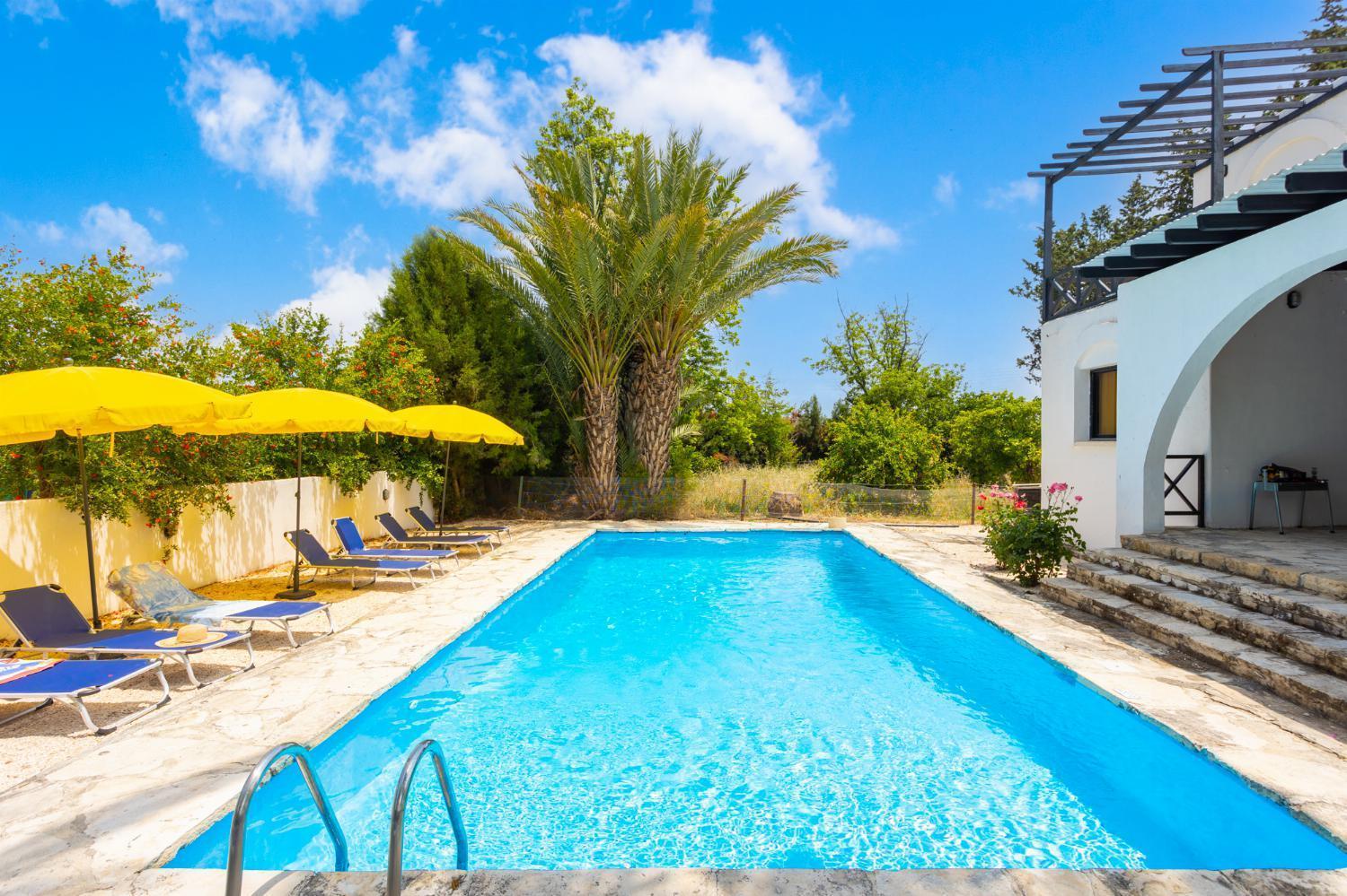 Villa Anemone Polis Exterior foto