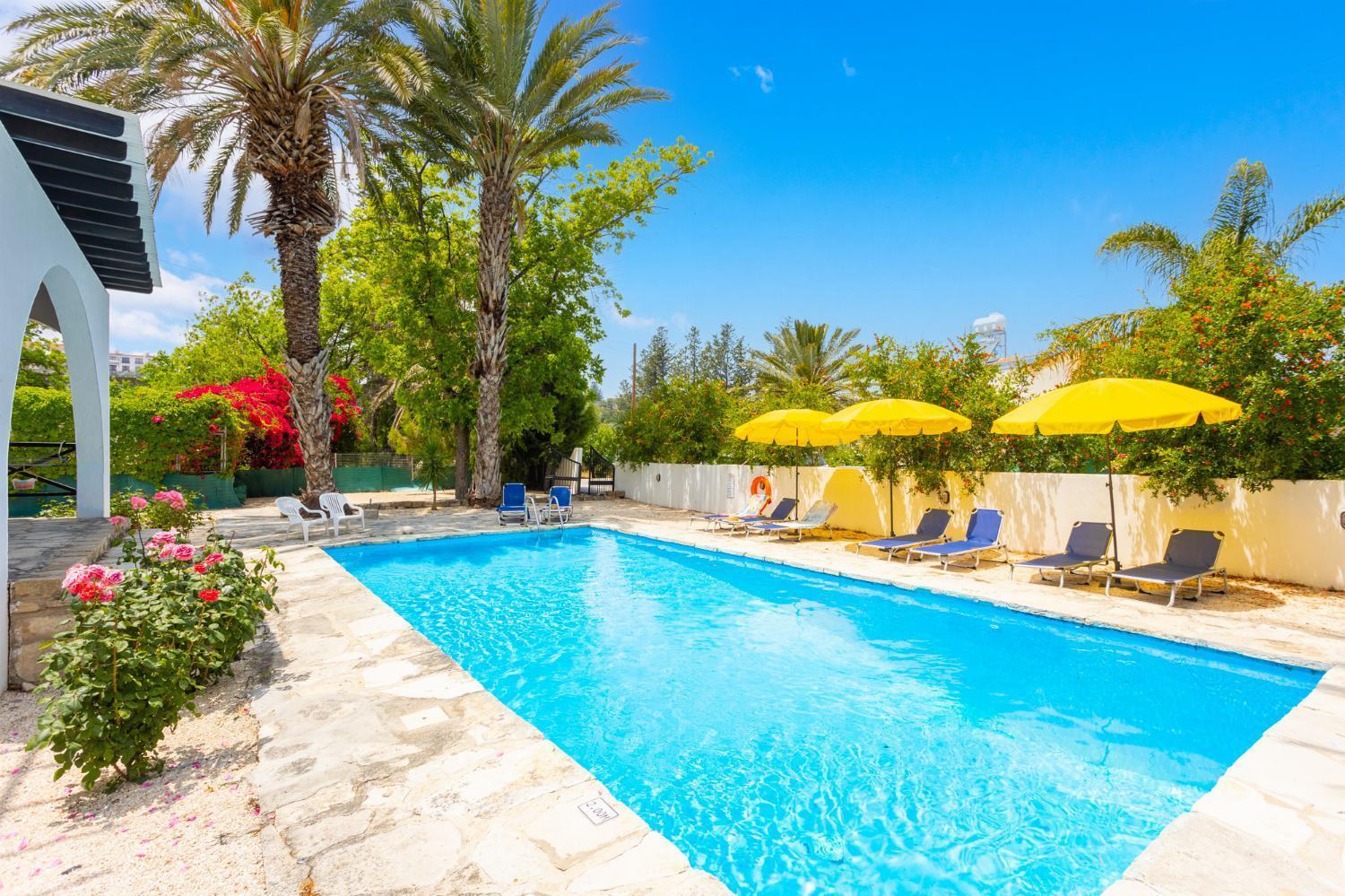 Villa Anemone Polis Exterior foto